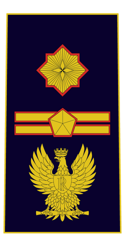 Sostituto Commissario Coordinatore PS.png